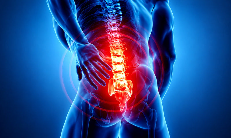 Back Pain